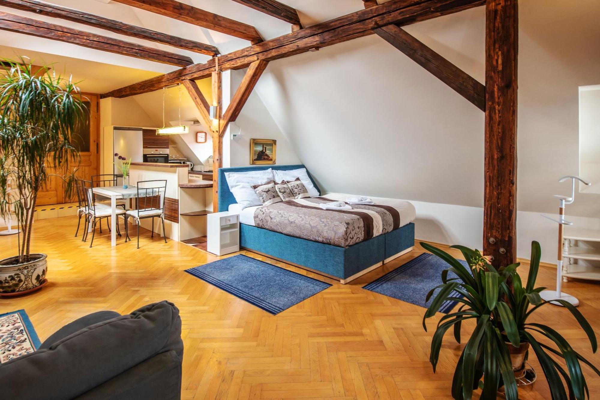 Ubytovani U Bile Pani Český Krumlov Kamer foto